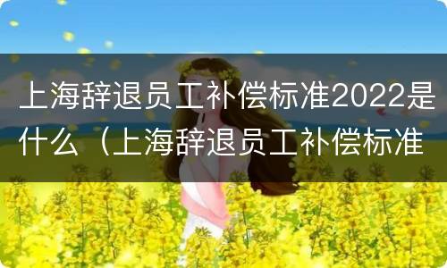上海辞退员工补偿标准2022是什么（上海辞退员工补偿标准2021怎么算）