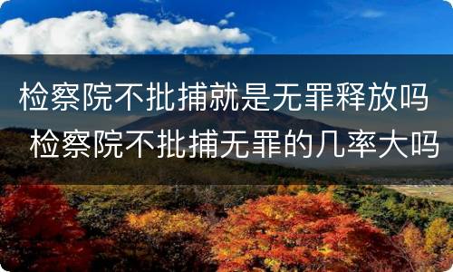 检察院不批捕就是无罪释放吗 检察院不批捕无罪的几率大吗