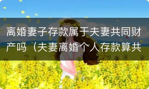 离婚妻子存款属于夫妻共同财产吗（夫妻离婚个人存款算共同财产吗）