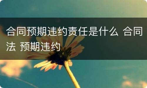 合同预期违约责任是什么 合同法 预期违约