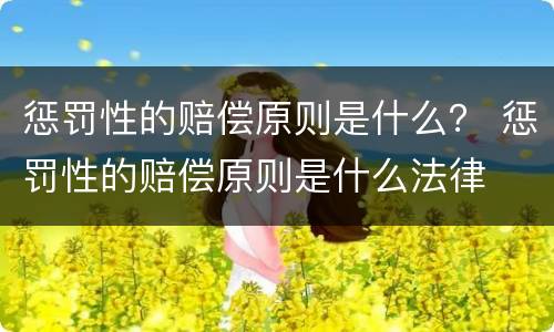 惩罚性的赔偿原则是什么？ 惩罚性的赔偿原则是什么法律