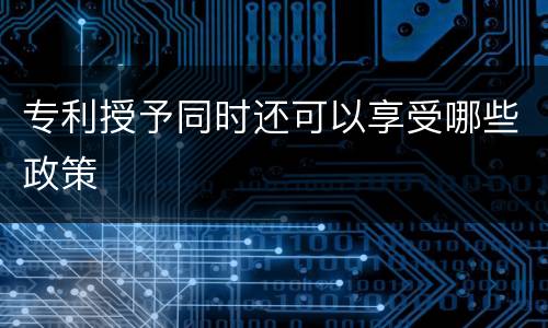 专利授予同时还可以享受哪些政策