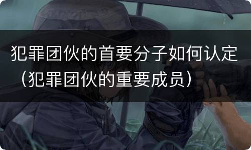 犯罪团伙的首要分子如何认定（犯罪团伙的重要成员）