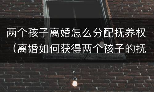 两个孩子离婚怎么分配抚养权（离婚如何获得两个孩子的抚养权）
