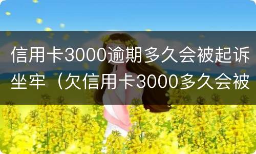 信用卡3000逾期多久会被起诉坐牢（欠信用卡3000多久会被起诉）