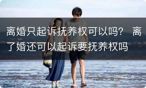 离婚只起诉抚养权可以吗？ 离了婚还可以起诉要抚养权吗