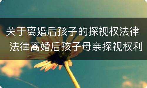关于离婚后孩子的探视权法律 法律离婚后孩子母亲探视权利