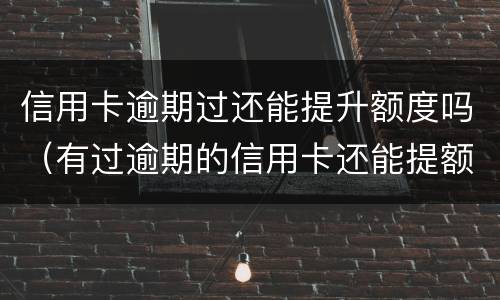 信用卡逾期过还能提升额度吗（有过逾期的信用卡还能提额度吗）