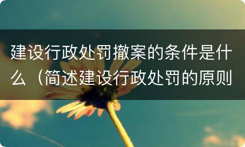 建设行政处罚撤案的条件是什么（简述建设行政处罚的原则）