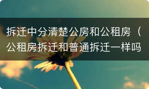 拆迁中分清楚公房和公租房（公租房拆迁和普通拆迁一样吗）