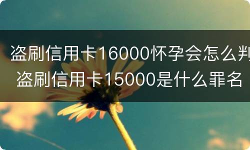盗刷信用卡16000怀孕会怎么判 盗刷信用卡15000是什么罪名