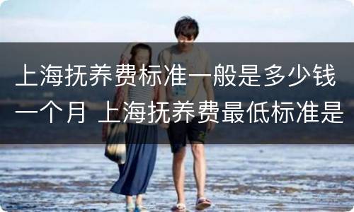 上海抚养费标准一般是多少钱一个月 上海抚养费最低标准是多少