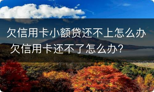 欠信用卡小额贷还不上怎么办 欠信用卡还不了怎么办?