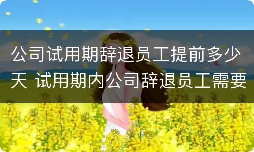 公司试用期辞退员工提前多少天 试用期内公司辞退员工需要提前几天吗