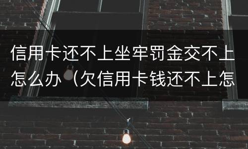 信用卡还不上坐牢罚金交不上怎么办（欠信用卡钱还不上怎么办会坐牢吗）