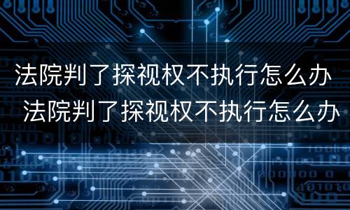 法院判了探视权不执行怎么办 法院判了探视权不执行怎么办理