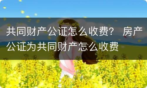 共同财产公证怎么收费？ 房产公证为共同财产怎么收费