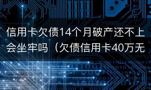 信用卡欠债14个月破产还不上会坐牢吗（欠债信用卡40万无力偿还会坐牢吗）