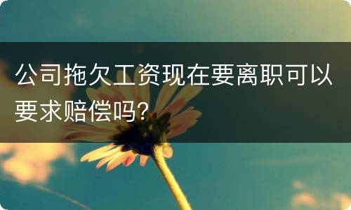 公司拖欠工资现在要离职可以要求赔偿吗？