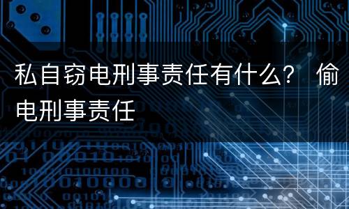私自窃电刑事责任有什么？ 偷电刑事责任