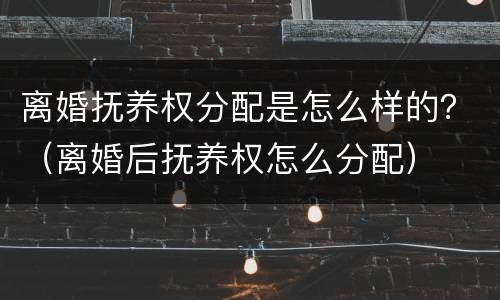 离婚抚养权分配是怎么样的？（离婚后抚养权怎么分配）