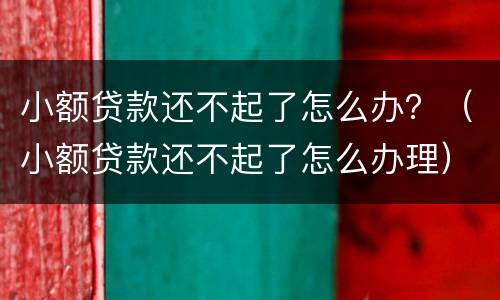 小额贷款还不起了怎么办？（小额贷款还不起了怎么办理）
