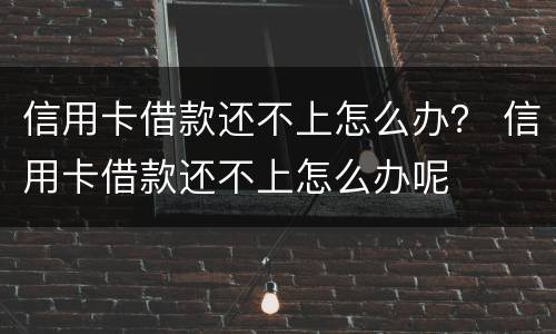 信用卡借款还不上怎么办？ 信用卡借款还不上怎么办呢