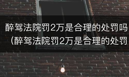 醉驾法院罚2万是合理的处罚吗（醉驾法院罚2万是合理的处罚吗知乎）