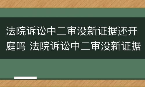 法院诉讼中二审没新证据还开庭吗 法院诉讼中二审没新证据还开庭吗