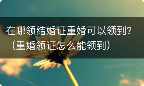 在哪领结婚证重婚可以领到？（重婚领证怎么能领到）