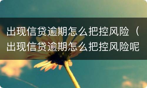 出现信贷逾期怎么把控风险（出现信贷逾期怎么把控风险呢）