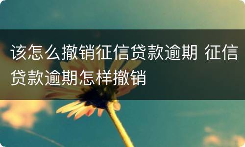 该怎么撤销征信贷款逾期 征信贷款逾期怎样撤销