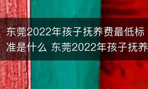 东莞2022年孩子抚养费最低标准是什么 东莞2022年孩子抚养费最低标准是什么时候发放