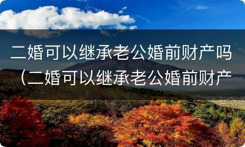 二婚可以继承老公婚前财产吗（二婚可以继承老公婚前财产吗女方）