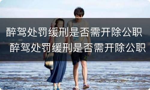 醉驾处罚缓刑是否需开除公职 醉驾处罚缓刑是否需开除公职呢