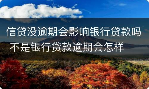 信贷没逾期会影响银行贷款吗 不是银行贷款逾期会怎样