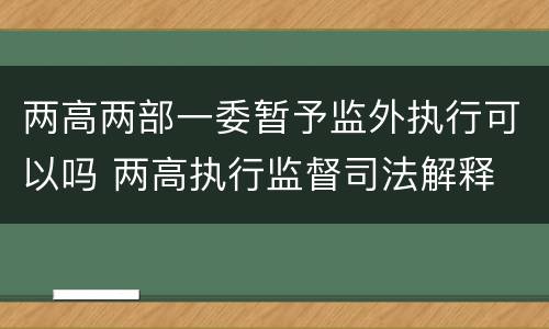两高两部一委暂予监外执行可以吗 两高执行监督司法解释