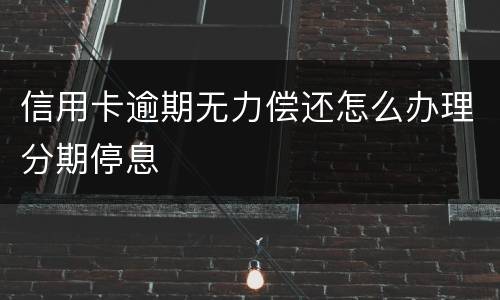 信用卡逾期无力偿还怎么办理分期停息