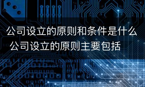 公司设立的原则和条件是什么 公司设立的原则主要包括