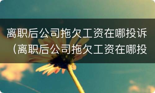 离职后公司拖欠工资在哪投诉（离职后公司拖欠工资在哪投诉有效）