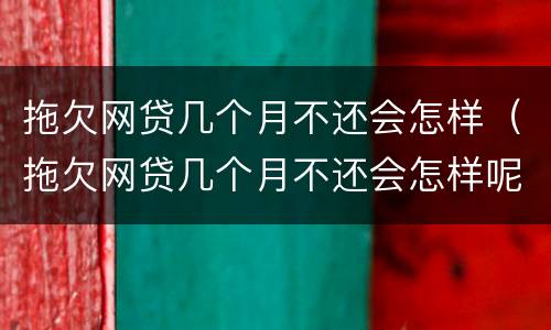 拖欠网贷几个月不还会怎样（拖欠网贷几个月不还会怎样呢）