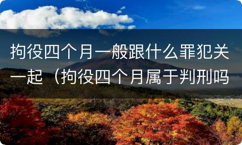 拘役四个月一般跟什么罪犯关一起（拘役四个月属于判刑吗）