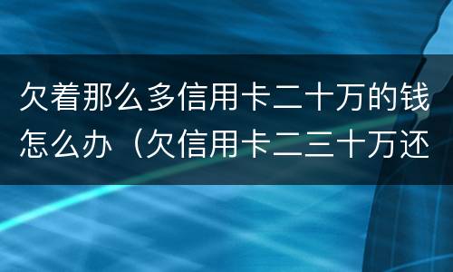 欠着那么多信用卡二十万的钱怎么办（欠信用卡二三十万还不起怎么办）