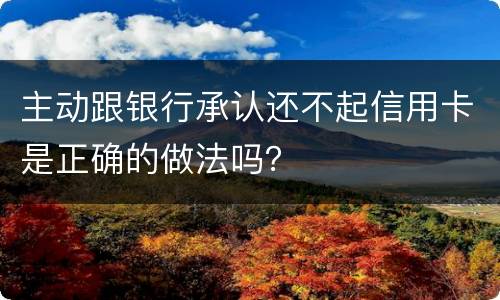 主动跟银行承认还不起信用卡是正确的做法吗？