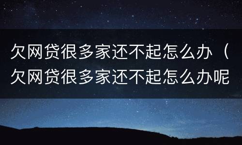 欠网贷很多家还不起怎么办（欠网贷很多家还不起怎么办呢）