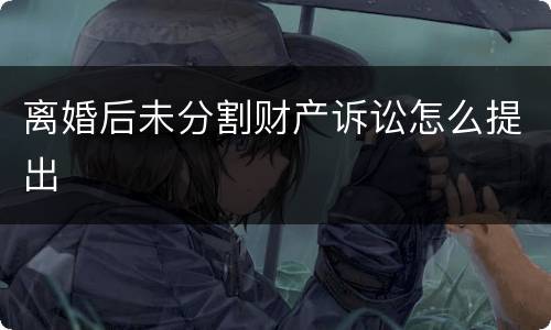 离婚后未分割财产诉讼怎么提出