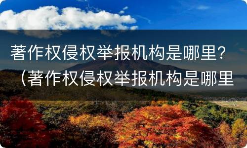 著作权侵权举报机构是哪里？（著作权侵权举报机构是哪里负责）