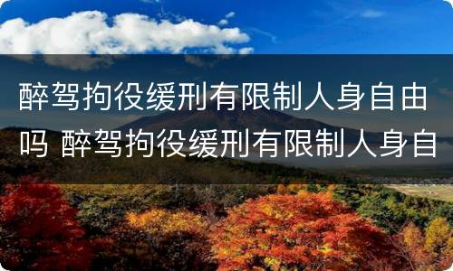 醉驾拘役缓刑有限制人身自由吗 醉驾拘役缓刑有限制人身自由吗知乎