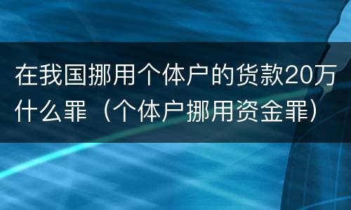 在我国挪用个体户的货款20万什么罪（个体户挪用资金罪）