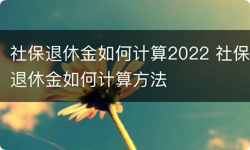 社保退休金如何计算2022 社保退休金如何计算方法